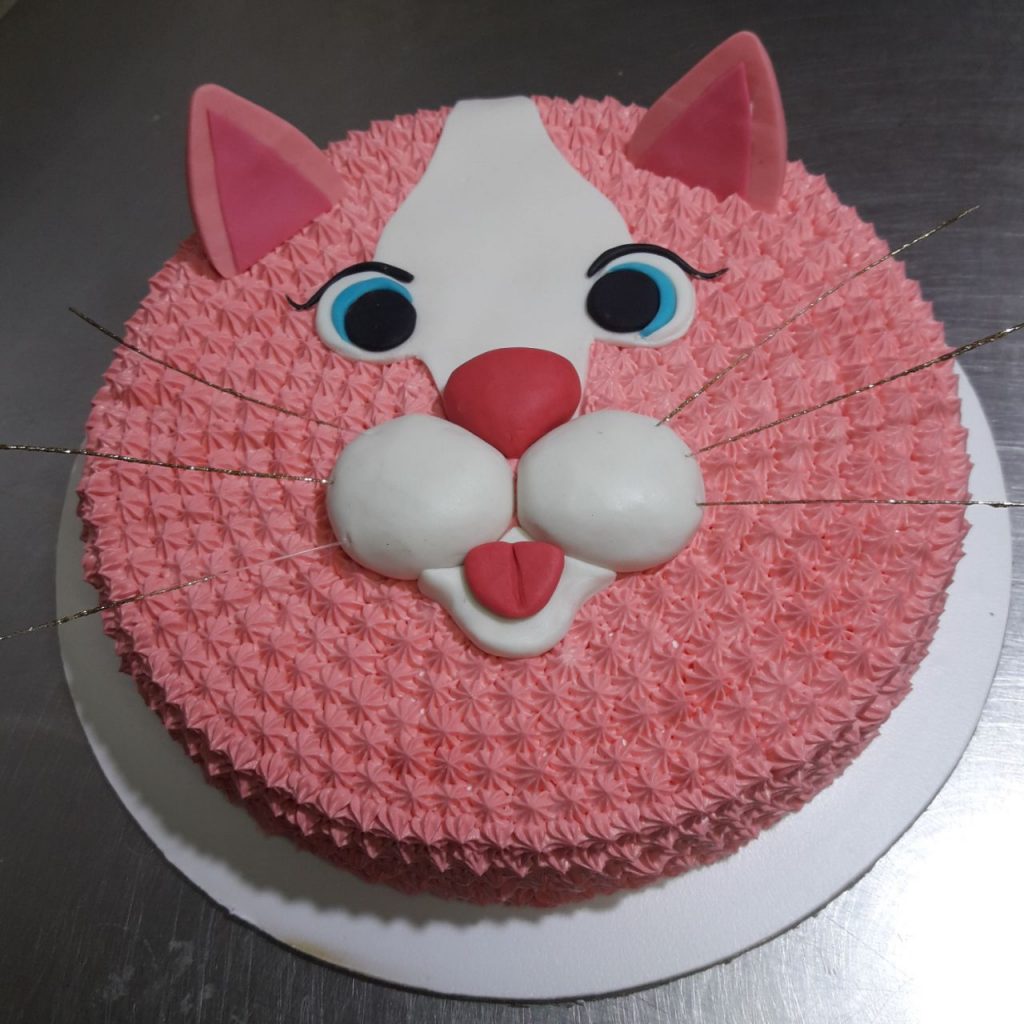 CAT FACE CAKE – BRO N ME BAKERY